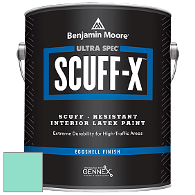 Benjamin Moore 485 Ultra Spec SCUFF-X Interior Eggshell Finish краска цвет 2045-50 Green Coral