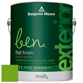 Benjamin Moore Ben 541 Waterborne Exterior Flat Finish краска цвет 2031-10 Neon Lime