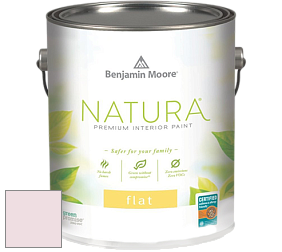 Benjamin Moore 512 Natura Interior Flat Finish матовая краска цвет NCS S 0510-R20B 