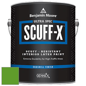 Benjamin Moore 485 Ultra Spec SCUFF-X Interior Eggshell Finish краска цвет 2030-10 Lizard Green