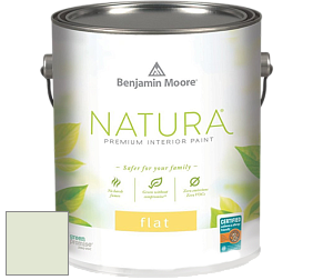Benjamin Moore 512 Natura Interior Flat Finish матовая краска цвет 854 Sleeping Angel