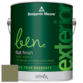 Benjamin Moore Ben 541 Waterborne Exterior Flat Finish краска цвет 489 Oak Grove