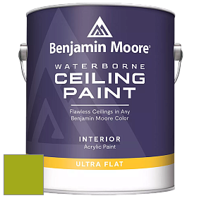 Benjamin Moore 508 Waterborne Ceiling Paint краска для потолков цвет 2027-10 Dark Lime