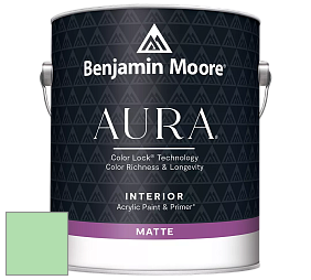 Benjamin Moore Aura 522 Interior Paint - Matte краска цвет 2033-50 Bud Green