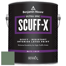 Benjamin Moore 484 Ultra Spec SCUFF-X Interior Matte Finish краска цвет 629 Weeping Willow
