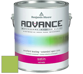 Benjamin Moore 792 Advance Interior Paint-Satin эмаль цвет 419 Malachy Green