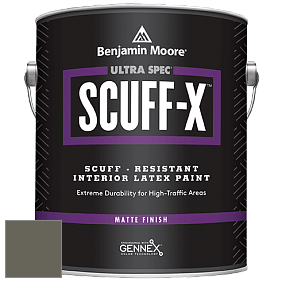 Benjamin Moore 484 Ultra Spec SCUFF-X Interior Matte Finish краска цвет 2138-30 Mohegan Sage