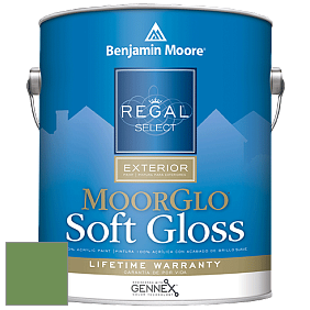 Benjamin Moore W096 Regal Select Exterior Paint-Moor GloSoft Gloss Finish краска цвет 553 Richmond Green