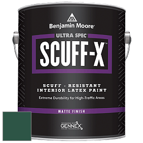 Benjamin Moore 484 Ultra Spec SCUFF-X Interior Matte Finish краска цвет RAL 6028 