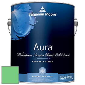 Benjamin Moore Aura 524 Waterborne Interior Eggshell Finish краска цвет NCS S 0560-G10Y 