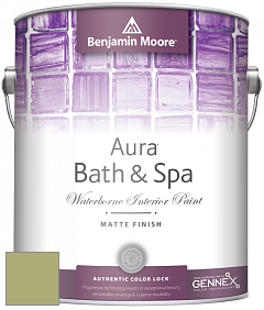Benjamin Moore Aura 532 Bath & Spa Waterborne Interior Paint Matte Finish краска цвет 538 Vienna Green