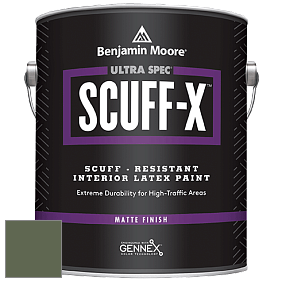 Benjamin Moore 484 Ultra Spec SCUFF-X Interior Matte Finish краска цвет 455 Sweet Basil