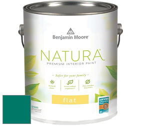 Benjamin Moore 512 Natura Interior Flat Finish матовая краска цвет NCS S 4050-B70G 