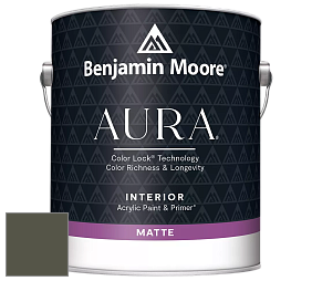 Benjamin Moore Aura 522 Interior Paint - Matte краска цвет RAL 7013 