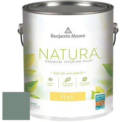 Benjamin Moore 512 Natura Interior Flat Finish матовая краска цвет 706 Cedar Mountains