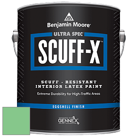 Benjamin Moore 485 Ultra Spec SCUFF-X Interior Eggshell Finish краска цвет NCS S 1050-G10Y 