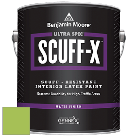 Benjamin Moore 484 Ultra Spec SCUFF-X Interior Matte Finish краска цвет 419 Malachy Green