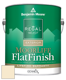 Benjamin Moore W105 Regal Select Exterior Paint-MoorLife Flat Finish краска цвет 929 Angels Gate