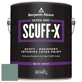 Benjamin Moore 484 Ultra Spec SCUFF-X Interior Matte Finish краска цвет 691 Dartsmouth Green