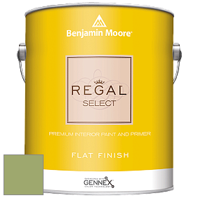 Benjamin Moore 547 Regal Select Waterborne Interior Flat Finish краска цвет 544 Kiwi