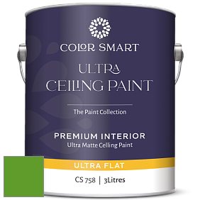 COLOR SMART CS 758 ULTRA CEILING PAINT ультраматовая краска цвет 2030-10 Lizard Green