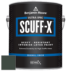 Benjamin Moore 485 Ultra Spec SCUFF-X Interior Eggshell Finish краска цвет NCS S 8010-G10Y 