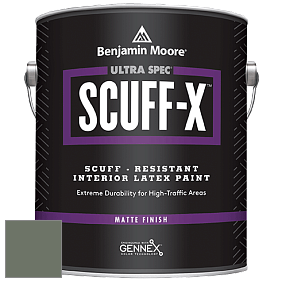 Benjamin Moore 484 Ultra Spec SCUFF-X Interior Matte Finish краска цвет NCS S 6010-G30Y 