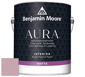 Benjamin Moore Aura 522 Interior Paint - Matte краска цвет NCS S 2020-R20B 