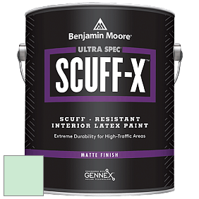 Benjamin Moore 484 Ultra Spec SCUFF-X Interior Matte Finish краска цвет NCS S 0520-G 