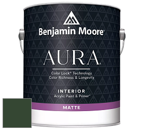 Benjamin Moore Aura 522 Interior Paint - Matte краска цвет RAL 6020 
