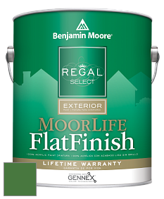 Benjamin Moore W105 Regal Select Exterior Paint-MoorLife Flat Finish краска цвет 2034-10 Clover Green