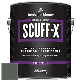 Benjamin Moore 484 Ultra Spec SCUFF-X Interior Matte Finish краска цвет 448 Dakota Shadow
