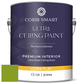 COLOR SMART CS 758 ULTRA CEILING PAINT ультраматовая краска цвет 2028-10 Iguana Green