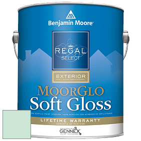 Benjamin Moore W096 Regal Select Exterior Paint-Moor GloSoft Gloss Finish краска цвет 583 Mountainview