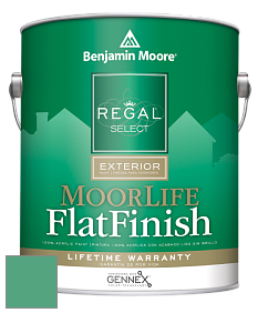 Benjamin Moore W105 Regal Select Exterior Paint-MoorLife Flat Finish краска цвет 593 Island Getaway