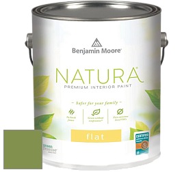 Benjamin Moore 512 Natura Interior Flat Finish матовая краска цвет NCS S 3050-G40Y 