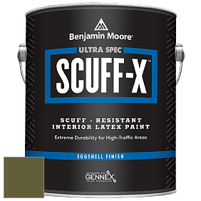 Benjamin Moore 485 Ultra Spec SCUFF-X Interior Eggshell Finish краска цвет NCS S 5540-G50Y 
