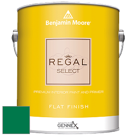 Benjamin Moore 547 Regal Select Waterborne Interior Flat Finish краска цвет NCS S 3560-G 