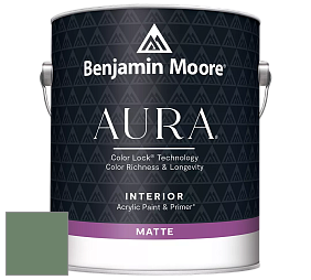 Benjamin Moore Aura 522 Interior Paint - Matte краска цвет 629 Weeping Willow