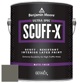 Benjamin Moore 484 Ultra Spec SCUFF-X Interior Matte Finish краска цвет RAL 7039 
