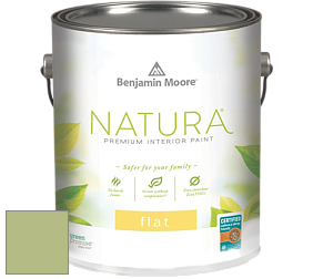 Benjamin Moore 512 Natura Interior Flat Finish матовая краска цвет NCS S 2030-G50Y 