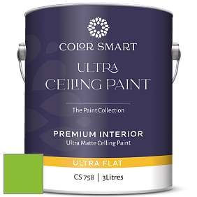 COLOR SMART CS 758 ULTRA CEILING PAINT ультраматовая краска цвет NCS S 0580-G30Y 