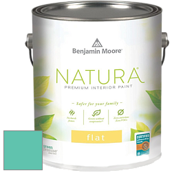 Benjamin Moore 512 Natura Interior Flat Finish матовая краска цвет 656 Miami Teal