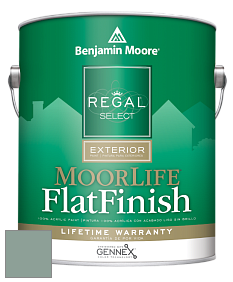 Benjamin Moore W105 Regal Select Exterior Paint-MoorLife Flat Finish краска цвет AF-495 
