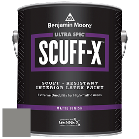 Benjamin Moore 484 Ultra Spec SCUFF-X Interior Matte Finish краска цвет AF-710 