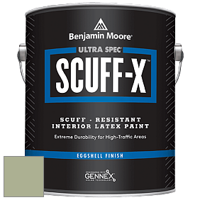 Benjamin Moore 485 Ultra Spec SCUFF-X Interior Eggshell Finish краска цвет HC-118 BM HC-118