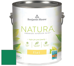 Benjamin Moore 512 Natura Interior Flat Finish матовая краска цвет RAL 6032 