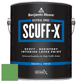 Benjamin Moore 485 Ultra Spec SCUFF-X Interior Eggshell Finish краска цвет NCS S 2060-G20Y 