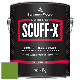 Benjamin Moore 486 Ultra Spec SCUFF-X Interior Satin Finish краска цвет 2029-10 Basil Green