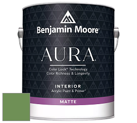 Benjamin Moore Aura 522 Interior Paint - Matte краска цвет 553 Richmond Green